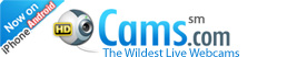 Cams-The Ultimate Live Video Chat Site!