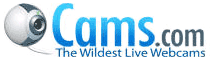 Cams.com - The Wildest Live Webcams!