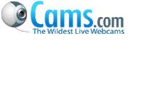 ffn_avutest on Web Cam Spot